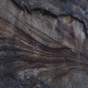 Meet your Posher, Carly